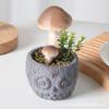 Simulação Coruja Cogumelo Bonsai Casa Decoração de Sala de Estar Espuma Ornamentos Criativos Adereços de Tiro Verde Planta Combinação Bacia