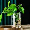 Garrafa de Propagação de Água Cilindro Reto Sem Tampa Vidro de Alto Borossilicato Vaso de Flores Transparente Garrafa para Cultivo de Flores Jiboia Plantas Hidropônicas Garrafa Ecológica