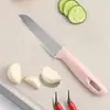 Cuchillo para Fruta de Acero Inoxidable, Pelador, Cuchillo para Fruta de PP, Cuchillo para Fruta de Puesto Callejero, Regalo, Venta Directa de Fábrica de Yangjiang