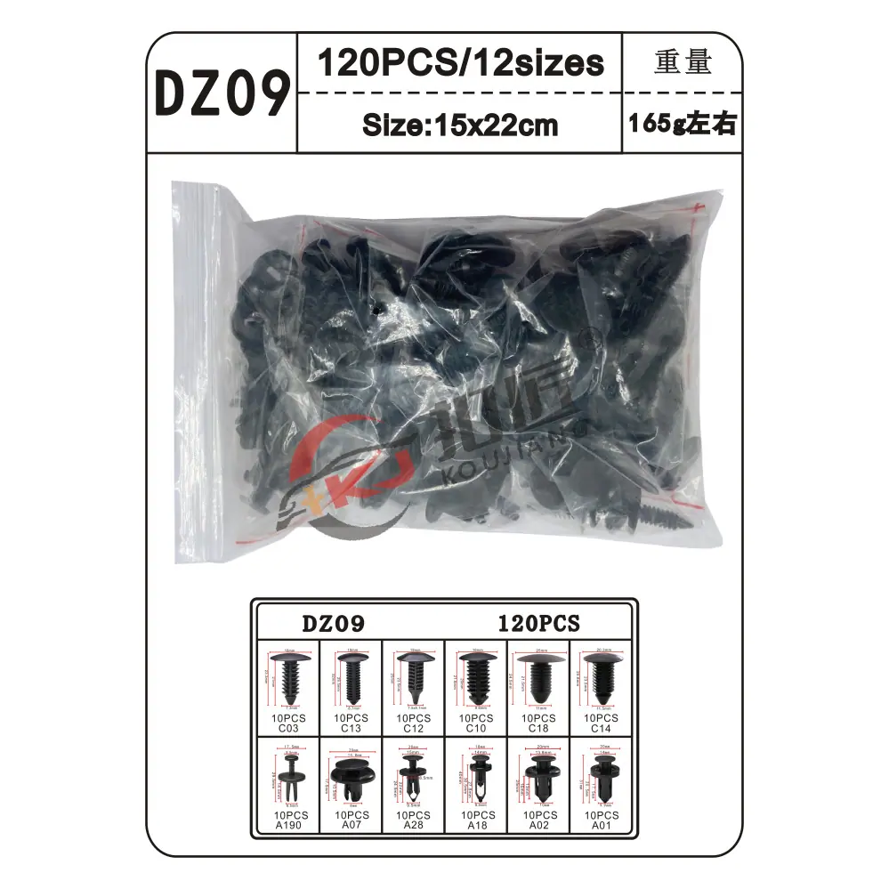 DZ09-5.png