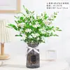 Jiuli Perfume Plantas em Vasos Flores e Plantas Verdes para Sala de Estar Interna Repelente de Mosquitos para Varanda Florescimento nas Quatro Estações Bom para Flores de Mesa