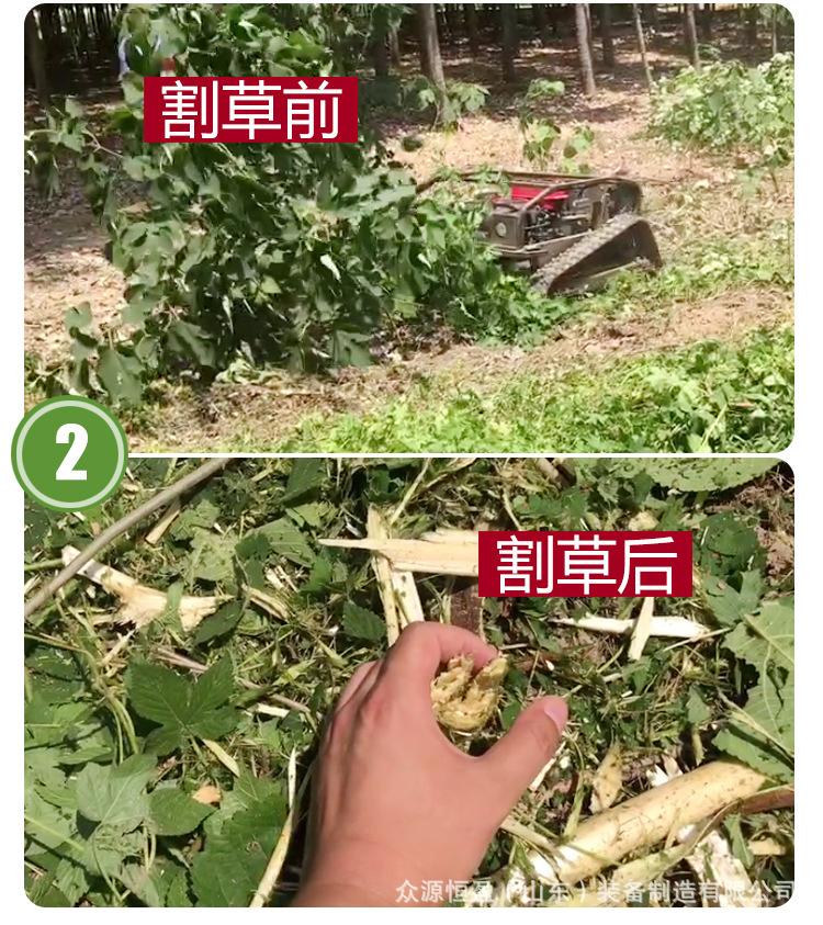 黑狮800详情页_05.jpg