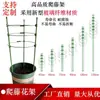 Anéis de Suporte para Vasos de Plantas, Arcos de Jardinagem, Hastes de Treliça, Suportes para Plantas Trepadeiras, Fixações de Anel de Ferro para Cercas Internas e Externas
