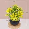 Plantas em vaso de planta verde artificial, plantas verdes artificiais minimalistas nórdicas, plantas em vaso para mesa de escritório, adereços de fotografia, bonsai de planta verde pequena