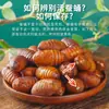 Envío gratis de SF Express: Crisálidas de gusano de seda tussah especialidad del noreste, crisálidas grandes de gusano de seda negras y amarillas frescas vivas, crisálidas grandes del noreste, crisálidas de cigarra 500g