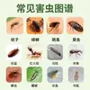 Matamosquitos de Exterior, Cucaracha, Pulga, Hormiga Blanca, Chinches, Insecticida de Drenaje Doméstico de Bajo Toxicidad para Interiores