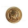 Fábrica Directa Comercio Electrónico Transfronterizo Plástico Calavera Pirata Monedas de Oro Fiesta Medieval Souvenir Juguetes Monedas de Juego