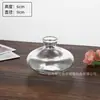 Vaso Pequeno Criativo Popular de Alta Qualidade da Amazon, Estilo Ins, Decoração de Vaso de Vidro de Alto Valor para Sala de Estar e Mesa de Jantar