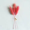 Mini Ramo de Flores Secas Naturales Tarjeta Decoración Material DIY Accesorios para Caja de Regalo Recuerdo Ramillete Amazon Transfronterizo