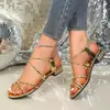 Sandalias Casuales Cómodas de Moda Francesa para Mujer Talla Grande de Comercio Exterior Nuevas de Verano Talla Única