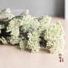 Fantástico saco de material DIY de flor eterna flor de arroz 6 cores flor de conservação buquê real decoração de casa arranjo de flores fotografia atacado