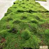 Musgo Sintético Césped Artificial Alfombra Verde Musgo Bonsái Decoración Fotográfica Plantas Verdes Paisaje Micro Paisajismo Decoración Flocada Fabricante