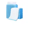 Pañales para Mascotas, Papel Absorbente para Limpiar Orina de Perro, Tapetes para Orinar Perros, Suministros de Limpieza para Perros y Gatos, Papel Absorbente para Limpiar Orina, Tapetes para Orinar