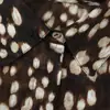 Nueva colección de otoño de ropa para mujer de Europa y América: camisas de manga larga retro estampadas, elegantes, sencillas, a la moda, casuales, versátiles con cuello de solapa