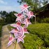 Orquídeas Phalaenopsis de 9 cabezas para decoración de bodas, adornos decorativos para sala de estar, arreglos florales, pared de flores, arreglos para el pasillo del salón de bodas