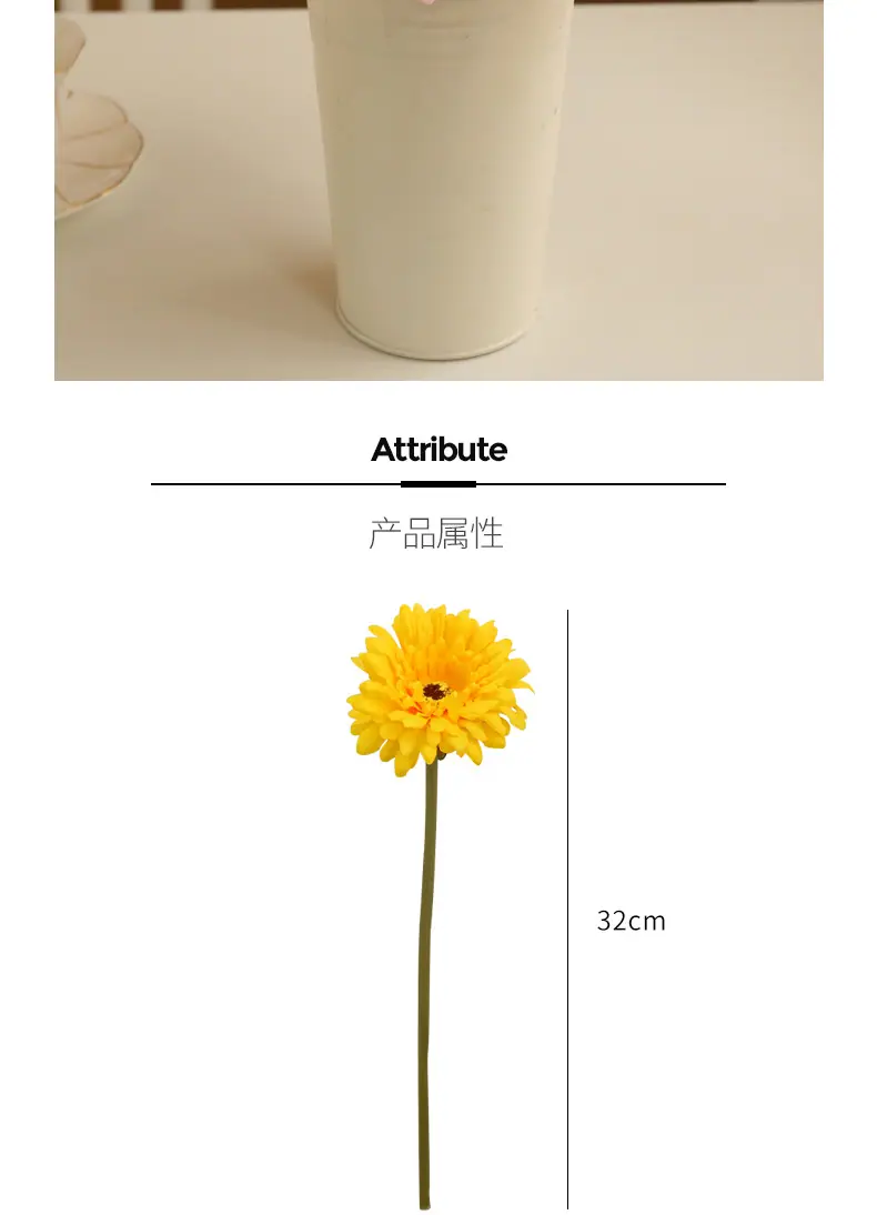 短枝菊-花_04.jpg