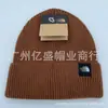 Gorros de Punto Casuales Japoneses y Coreanos, Gorros Cálidos de Moda para Otoño e Invierno, Gorros de Algodón y Lana Unisex, Gorros de Marca de Moda para el Frío