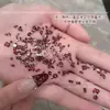 Accesorios Brillantes para Uñas Color Rojo Ankora con Circonita Biselada Año Nuevo Rojo Mini Circonita Plana Corazón Marqués Pedrería para Uñas