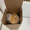Estilo Ins Copo de Refrigerante Criativo de Vidro Borossilicato Copo de Água Copo de Bebida Lata 16oz Fabricante Transfronteiriço Personalização