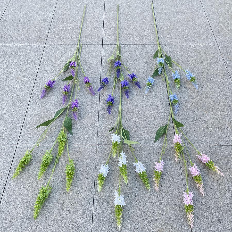 主图 花溪谷.JPG