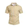 Camisa de manga corta a rayas con cuello, estilo veraniego europeo y americano, estampado 3D, no se plancha, para hombre, de playa