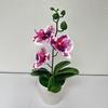 Planta Artificial de Phalaenopsis em Vaso com Flores Transfronteiriça Decoração de Mesa Flor Artificial de Plástico Bonsai Fotografia Vasos de Flores Ornamentos Cabeça de Flor