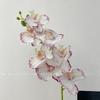 Impresión 3D Flor Artificial Phalaenopsis de 7 Cabezas Decoración de Mesa Escandinava Boda Floral Película Flor Artificial Phalaenopsis de Alta Gama