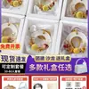Kit de Materiales para Pastillas de Cera de Aromaterapia DIY, Set de Velas de Cera, Regalo para el Día de la Mujer, Actividades de Salón para Team Building Hechas a Mano