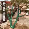 Tela de protección contra heladas para árboles de invierno tela para envolver árboles tela para envolver árboles textil jardín forestación tela para envolver árboles conservación del calor retención de humedad