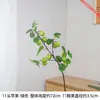 11 manzanas artificiales pequeñas simbolizan paz y buena fortuna, con colores brillantes, adecuadas para arreglos florales de escritorio y exhibiciones decorativas