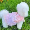 Ropa para Perro y Gato Estilo Primavera y Verano Princesa Encaje de Vidrio Lolita Tracción Perros Pequeños y Medianos