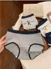"Niña Llena de Energía" Oso Suave de Algodón Ropa Interior de Algodón Puro para Mujer, Calzones de Algodón Puro para Niñas