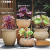 Cerâmica Original de Planta Carnuda Alimentada com Solo de Grés Simples Novo em Vaso Verde Planta Polegar Combinação Não Vidrada