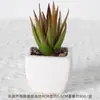 Suculentas Simuladas Personalizadas Cerámica Bonsái Plantas Verdes Escandinavas Adornos Hogar Interior Sala de Estar Flores Falsas Suculentas Plantas en Maceta
