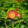 Adornos de Micro Paisajismo Dibujos Animados Cabaña de Musgo Casa Jardinería Paisajismo Decoración de Plantas en Maceta Accesorios Musgo Micro Paisajismo