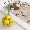 Paquetes de crisantemos sicilianos, 9 varitas, bolas doradas, decoración de sala de estar, flores secas, ramo, adornos de fotografía, material floral, material de bricolaje.