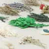 Materiais para Artesanato DIY de Flores Eternas no Atacado, Flores Secas, Frutas Secas, Rodelas de Laranja, Pinhas, Adereços para Fotografia de Flores, Materiais para Artesanato DIY de Jardim de Infância