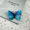 Simulação Borboleta Pequeno Livro Vermelho Online Celebridades Explosões 3D Estereoscópico Borboleta Atmosfera Borboleta Janela Simulação Flor Monet Janela