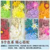 Kit de Materiales de Flores Secas DIY de Flor Eterna Hecha a Mano, Superventas Transfronterizo, Marco de Fotos, Abanico, Caja de Flores, Planta con Nervadura de Hoja, Materiales de Flores Secas