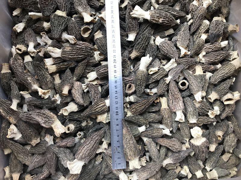 微信图片_20220412214807_副本