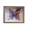 Marco de Fotos Hueco Mariposa Morada Flor Seca Óleo Mariposa Pastel Hueco Pintura de Mariposa Hueca