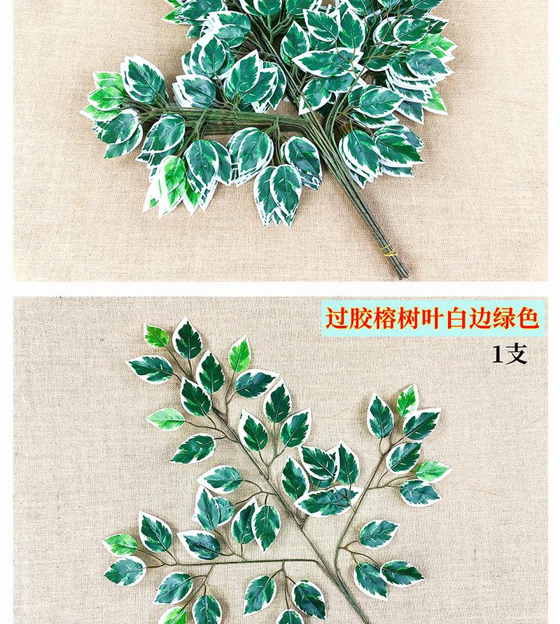 榕树叶_09.jpg