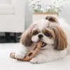 Juguetes de Mascar para Perros de Madera y Plástico, Huesos Duraderos para la Dentición de Cachorros y Perros Adultos, Palos Naturales No Tóxicos para Masticadores Agresivos, Juguetes Interactivos para Mascotas para la Limpieza Dental y el Alivio del Aburrimiento