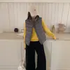 Colete curto acolchoado leve, novo estilo coreano outono e inverno 2026, gola alta, colete de outer wear quente
