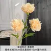 Decoración para el Hogar Floral Color Champagne para Mesa de Café de Sala de Estar, Arreglos Florales para Bodas, Decoración de Pared de Fondo para Bodas, Piezas de Arte con Flores Artificiales