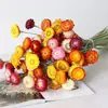 Flores de Caña Secas Ins Estilo Nórdico Flores Eternas Hierba de la Pampa Amazon Venta Caliente al por Mayor Ramo de Flores Estilo Ins Plantas