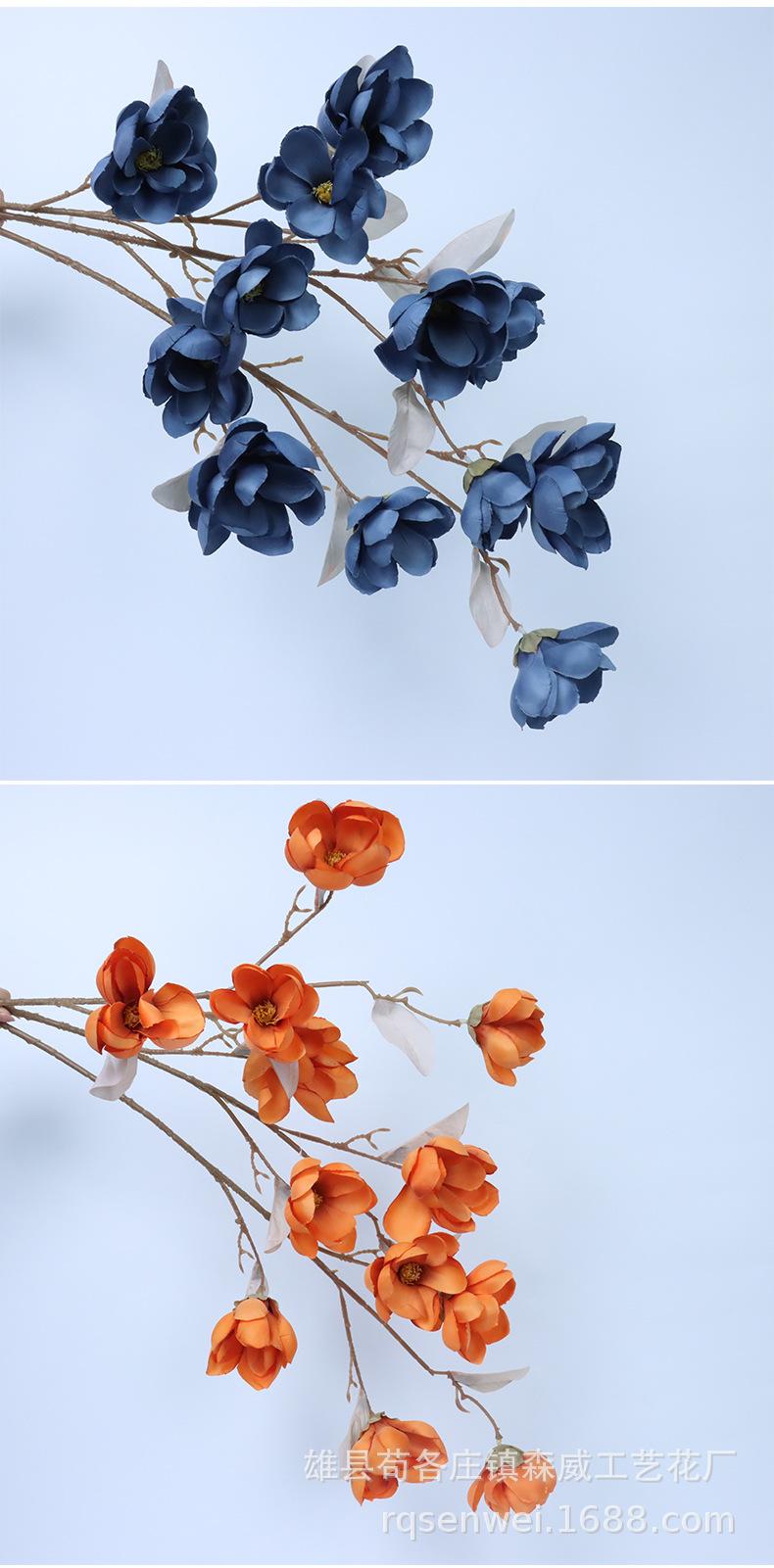 玉兰花_11.jpg
