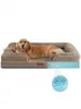 Ninho Removível para Pet Sofá para Cachorro Cama para Cachorro Ninho para Cachorro Inverno Quente Suprimentos para Pet Pelúcia Longa Ninho para Cachorro Grande Atacado