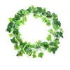 Hoja de vid trepadora planta verde árbol hoja tubería techo decoración plástico pothos dinero hoja verde enroscada