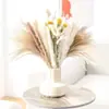 Bouquets de Flores Secas Más Vendidos, Juncos Pequeños, Hierba Cymbidium, Flores de Polvo, Decoración del Hogar para el Día del Maestro, Fábrica de Yunnan